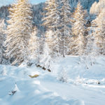 Hôtel Les Trappeurs by Côté Vacances - Activités Hors ski aux Orres