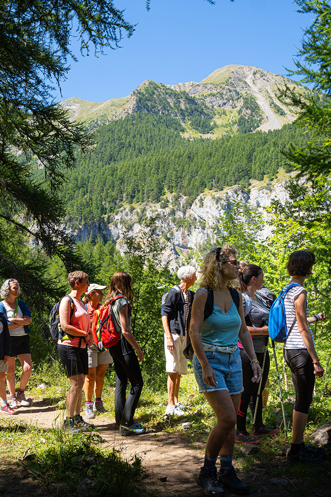 Festival détox et bien-être Les Orres Juillet 2023