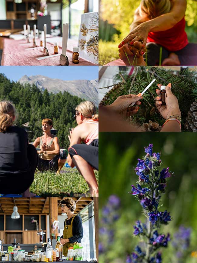 Hébergement au calme, proche des activités pour le Pure Flow Festival en Juillet 2026 aux Orres